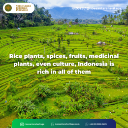 Richness of Indonesia's Natural Resources