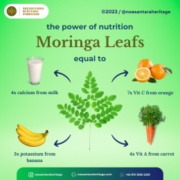 Unveiling the Potent Power of Moringa Nutrition