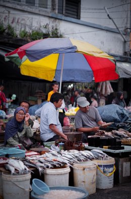 Indonesian Fishery: Discover the Rich Bounty of the Ocean's Treasures 