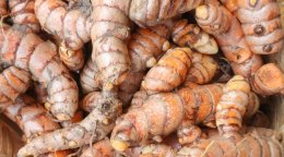 Indonesia Turmeric: The Golden Spice of Life