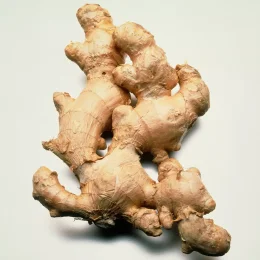 Indonesia's Finest Ginger: A Flavorful and Versatile Spice