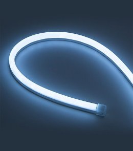 NEON LIGHT
