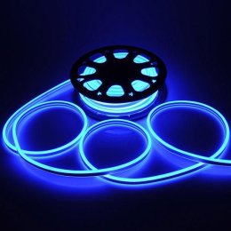 NEON LIGHT