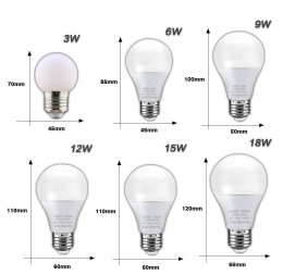 LIGHT BULB