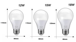 LIGHT BULB