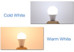 LIGHT BULB