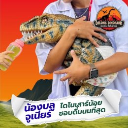 แนะนำดาราเด่น พี่ๆ ไดโนเสาร์ ประจำเดอลอง ไดโนพาร์ค ณ สวนเดอลอง พัทลุง