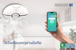 Smart Smoke Detector wifi - Alarm pass phone