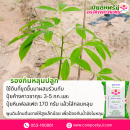 การใช้ปุ๋ยอินทรีย์ ใน ยางพารา เพื่อเพิ่มปริมาณน้ำยาง