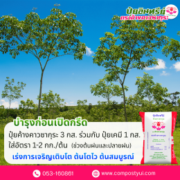 การใช้ปุ๋ยอินทรีย์ ใน ยางพารา เพื่อเพิ่มปริมาณน้ำยาง
