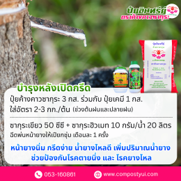 การใช้ปุ๋ยอินทรีย์ ใน ยางพารา เพื่อเพิ่มปริมาณน้ำยาง