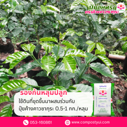 การใช้ปุ๋ยอินทรีย์ ใน กาแฟ เพื่อเพิ่มคุณภาพผลผลิต