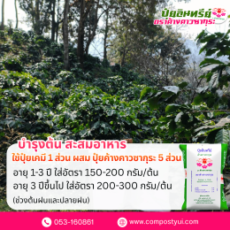 การใช้ปุ๋ยอินทรีย์ ใน กาแฟ เพื่อเพิ่มคุณภาพผลผลิต