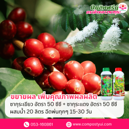 การใช้ปุ๋ยอินทรีย์ ใน กาแฟ เพื่อเพิ่มคุณภาพผลผลิต