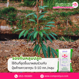 การใช้ปุ๋ยอินทรีย์ ใน ทุเรียน เพื่อเพิ่มคุณภาพผลผลิต