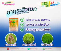 FLASH SALE 8.8 ลดท้าฝน ลดสูงสุด 50%