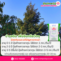 การใช้ปุ๋ยอินทรีย์ ใน ทุเรียน เพื่อเพิ่มคุณภาพผลผลิต