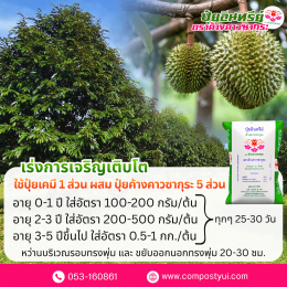 การใช้ปุ๋ยอินทรีย์ ใน ทุเรียน เพื่อเพิ่มคุณภาพผลผลิต