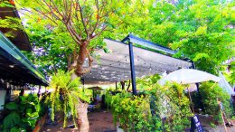หลังคาเลื่อนผ้าใบ To The Wild Cafe & Bar บ้านเกาะ โคราช By : Mechanic Home