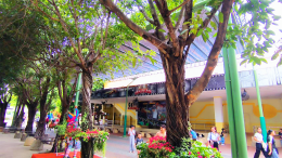 หลังคาเลื่อนผ้าใบ @สวนสนุก Dreamworld By : Mechanic Home