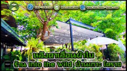 หลังคาเลื่อนผ้าใบ To The Wild Cafe & Bar บ้านเกาะ โคราช By : Mechanic Home