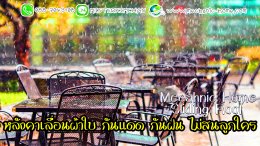 เบื่อมั๊ย!! เมื่อมีฝนตกขณะที่ลูกค้ากำลังเข้าร้าน พื้นที่ Outdoor ที่ให้ความโล่ง โปร่ง สบาย กลับไม่สามารถ ให้ลูกค้าใช้งานได้ เมื่อมีฝนตก