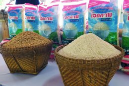 เอกภาพ ร่วมลงนามความร่วมมือทางการค้า(MOU) เพื่อช่วยเหลือกลุ่มเกษตรกรผู้ผลิตข้าวหอมมะลิอ.สระโบสถ์ จังหวัดลพบุรี
