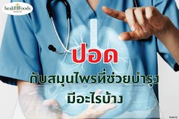 สมุนไพรบำรุงปอดให้แข็งแรง