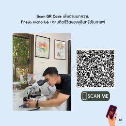 รู้ลึกศัพท์ Coffee Fermentation สมัยใหม่ (ฉบับปรีดา) ตอน 2