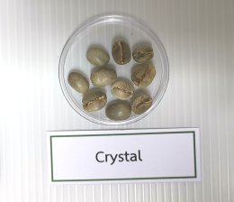 Rancidity & Crystallized in Green Bean (2)