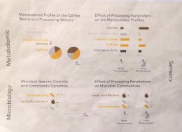 The Fermentation effect: อิทธิพลของ Fermentation