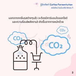Coffee Fermentation