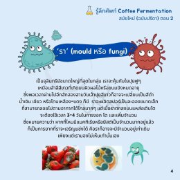 รู้ลึกศัพท์ Coffee Fermentation สมัยใหม่ (ฉบับปรีดา) ตอน 2