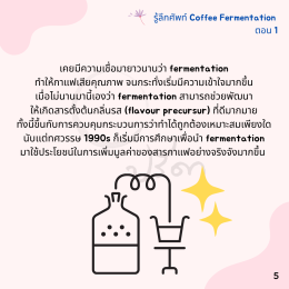 Coffee Fermentation