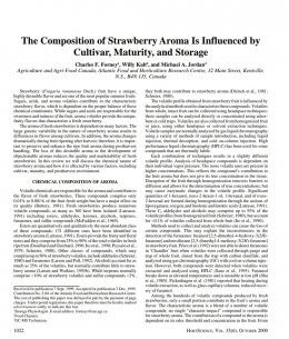 Strawberry Field Decoding (1)