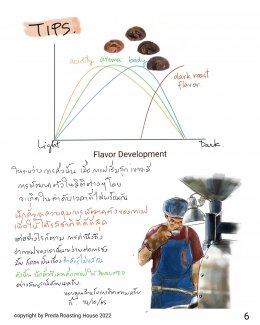 ทำไมกาแฟคั่วอ่อนที่ดีจึงควรบดง่าย?