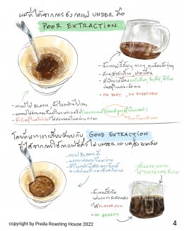 ทำไมกาแฟคั่วอ่อนที่ดีจึงควรบดง่าย?