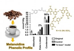 ค้นหาจุดลงตัวที่สุดระหว่างกลิ่นรสและคุณประโยชน์ต่อสุขภาพของกาแฟ Specialty (ตอนที่ 3)