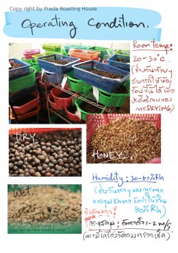 The basic concept of LTLH Coffee Drying 