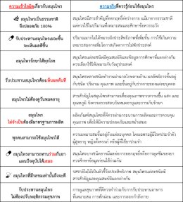 ความเข้าใจผิดเกี่ยวกับสมุนไพรที่พบบ่อย