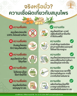 จริงหรือมั่ว? ความเชื่อผิดเกี่ยวกับสมุนไพร