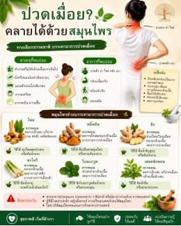สมุนไพรช่วยบรรเทาอาการปวด