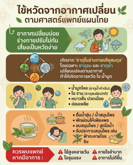 ไข้หวัดจากอากาศเปลี่ยน ตามศาสตร์การแพทย์แผนไทย