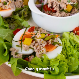 สลัดไข่ต้ม เมนูง่าย ๆ ที่กินได้ทุกวัน