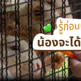 โซนให้อาหารสัตว์ที่ ทำฟาร์มดี บอกเลยว่าน่ารักเกินต้าน