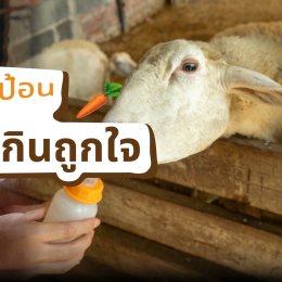 โซนให้อาหารสัตว์ที่ ทำฟาร์มดี บอกเลยว่าน่ารักเกินต้าน
