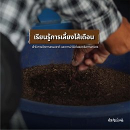 ถ้ามาศึกษาดูงานกับทางคณะที่ทำฟาร์มดีมีกิจกรรมอะไรให้ทำบ้าง?