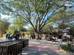 หน่วยงานเอไอเอ ศรีราชา 24 มกราคม 2568