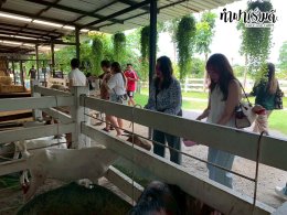 บริษัท ดีเคเอสเอช (ประเทศไทย) จำกัด 29 กันยายน 2568