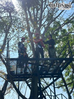 Big Wing Honda Rama3 25 มกราคม 2569